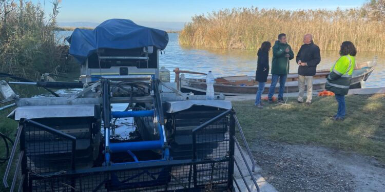 El Ajuntament de Valéncia retira 140 m³ de residuos de l’Albufera un año después de la DANA