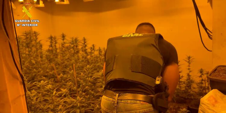 Desmantelado un narcochalé en Chiva y detenidos sus dos moradores