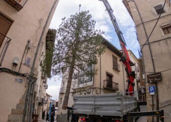 Morella planta el árbol de Navidad en Cinc Cantons y se prepara para el encendido de las luces el 5 de diciembre 14 Morella planta el árbol de Navidad en Cinc Cantons y se prepara para el encendido de las luces el 5 de diciembre
