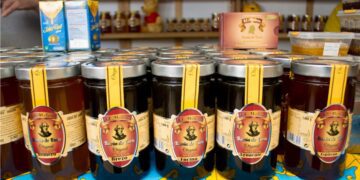 574565138 869581062090225 6142938359809209321 n scaled 1