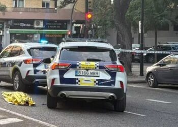 Tragedia en Valencia: Una joven de 20 años muere atropellada por un camión de DHL mientras cruzaba con semáforo en verde 19 Tragedia en Valencia: Una joven de 20 años muere atropellada por un camión de DHL mientras cruzaba con semáforo en verde