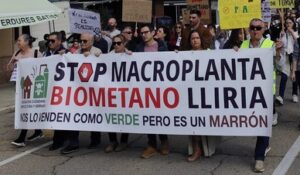 Captura de pantalla 2025 11 10 150508