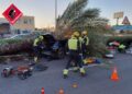Tragedia en la CV-905: Una palmera infestada de picudo rojo causa la muerte de un joven de 22 años en Torrevieja