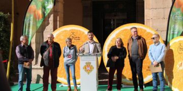 Festa de la Taronja
