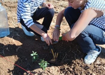 Tres años después del incendio que arrasó más de 20.000 hectáreas, un grupo de jóvenes ayuda a recuperar los montes de Torás 16 Tres años después del incendio que arrasó más de 20.000 hectáreas, un grupo de jóvenes ayuda a recuperar los montes de Torás