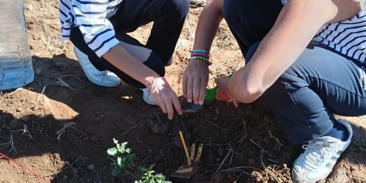 Tres años después del incendio que arrasó más de 20.000 hectáreas, un grupo de jóvenes ayuda a recuperar los montes de Torás 1 Tres años después del incendio que arrasó más de 20.000 hectáreas, un grupo de jóvenes ayuda a recuperar los montes de Torás
