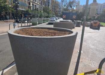 Parques y Jardines se entera del cambio de maceteros de la Plaza y de plantas por la prensa