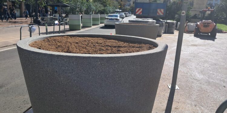 Parques y Jardines se entera del cambio de maceteros de la Plaza y de plantas por la prensa