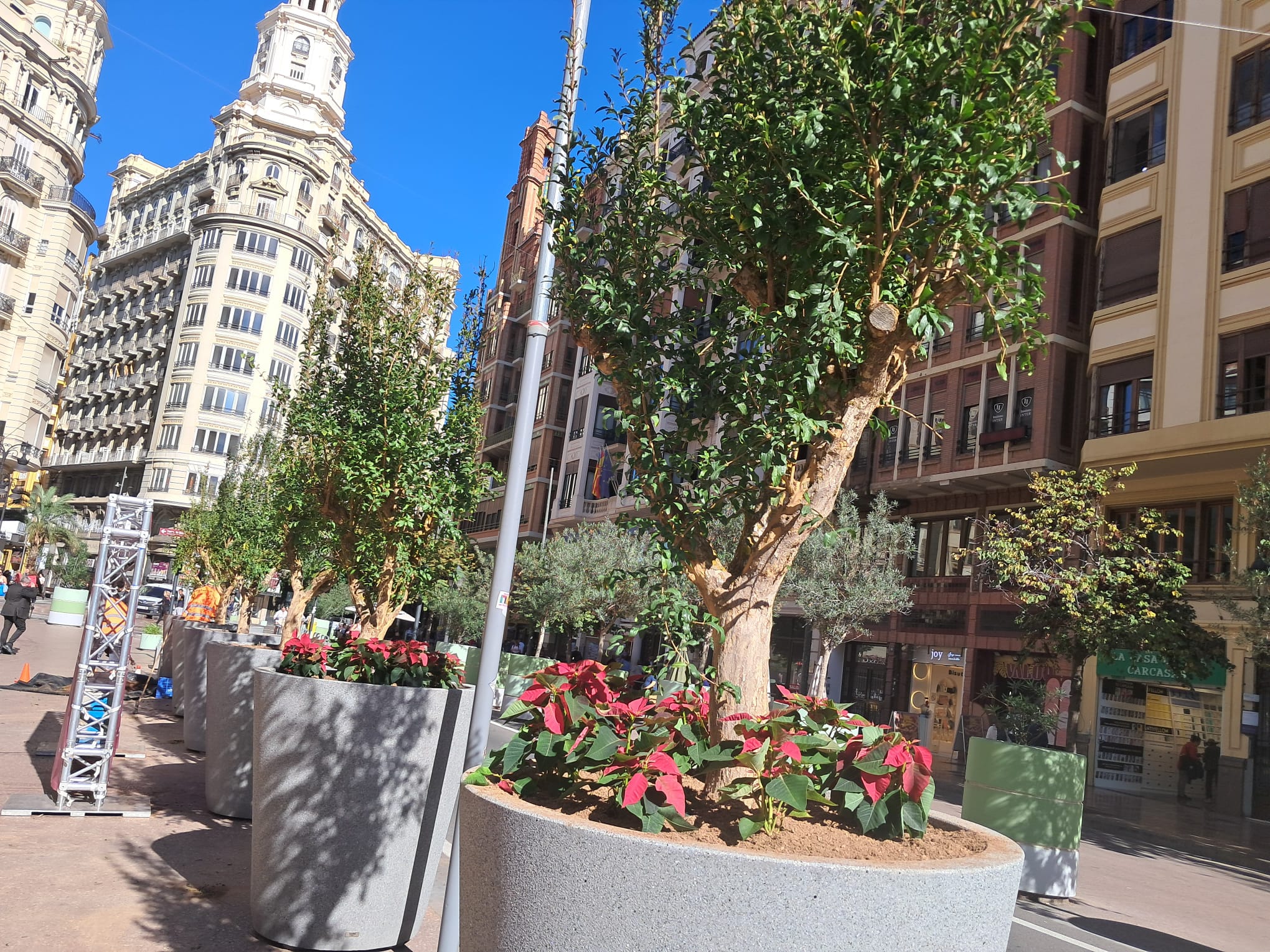 Catalá mientras redacta la reforma de la plaza del Ayuntamiento cambia los maceteros tras dos años de inacción 5 WhatsApp Image 2025 11 03 at 12.24.372