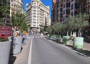 Catalá mientras redacta la reforma de la plaza del Ayuntamiento cambia los maceteros tras dos años de inacción 14 Catalá mientras redacta la reforma de la plaza del Ayuntamiento cambia los maceteros