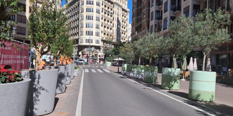 Catalá mientras redacta la reforma de la plaza del Ayuntamiento cambia los maceteros tras dos años de inacción 1 Catalá mientras redacta la reforma de la plaza del Ayuntamiento cambia los maceteros