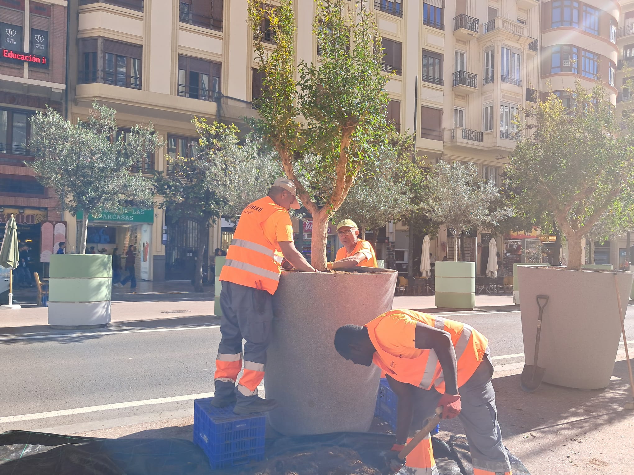 Catalá mientras redacta la reforma de la plaza del Ayuntamiento cambia los maceteros tras dos años de inacción 4 WhatsApp Image 2025 11 03 at 12.24.381