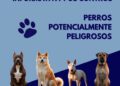 Campaña de la Policía Local de Sagunto sobre perros de razas peligrosas 10 Campaña de la Policía Local de Sagunto sobre perros de razas peligrosas