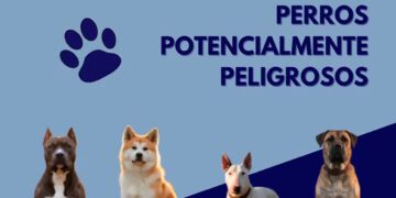 Campaña de la Policía Local de Sagunto sobre perros de razas peligrosas