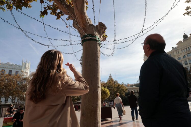Valencia Ilumina la Navidad: Más Adornos en Pedanías Afectadas y 45 Árboles por Toda la Ciudad