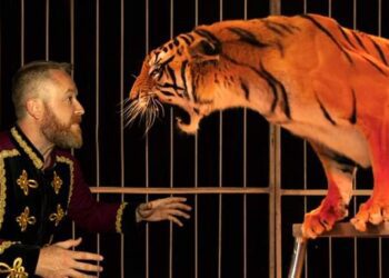 El Circ de Nadal abrirá el 6 de diciembre en Valencia y hoy prosigue su montaje