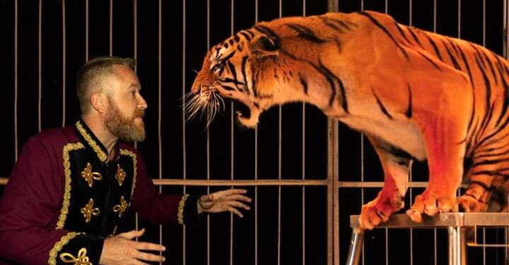 El Circ de Nadal abrirá el 6 de diciembre en Valencia y hoy prosigue su montaje 1 El Circ de Nadal abrirá el 6 de diciembre en Valencia y hoy prosigue su montaje