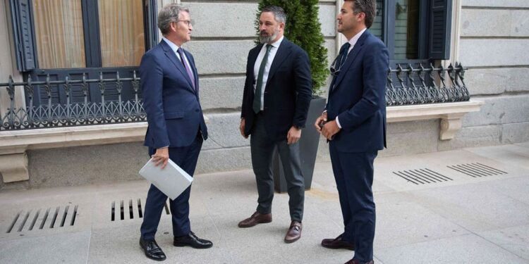 Vox exige al PP medidas contra la inmigración y frenar el pacto verde europeo para pactar el relevo de Mazón 1 el presidente del pp alberto nunez feijoo i conversa con el presidente de vox santiago abascal c a s da39