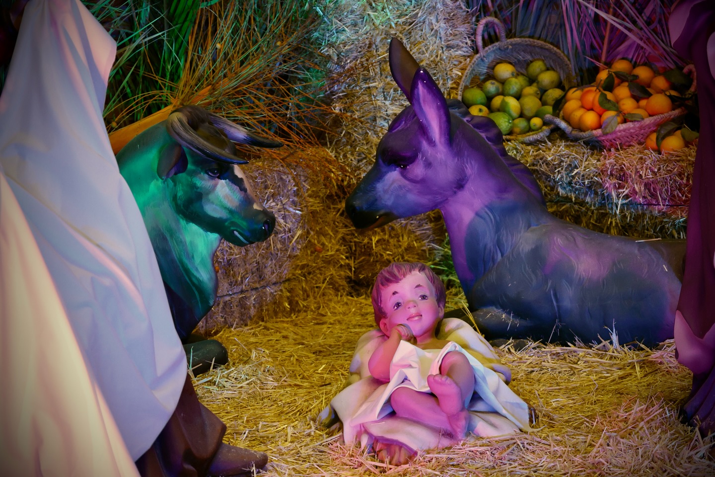 🎄 Torrent inaugura la ruta de Belenes con una gran exposición en el corazón del Mercat de Sant Gregori 5 167