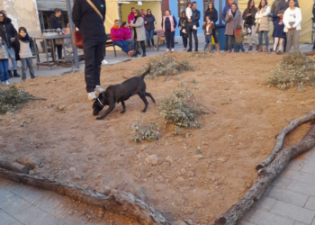 Chelva celebra este sábado su IV Feria de la Trufa Valenciana