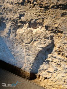 Más que piedra y provocación: el poder mágico del 'Fascinus' romano 2 Más que piedra y provocación: poder mágico 'Fascinus' romano