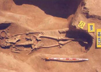 El tipo de entierro confirma que entre los fundadores de Valéncia había población peligna, una tribu del centro de Italia 14 El tipo de entierro confirma que entre los fundadores de Valéncia había población peligna, una tribu del centro de Italia