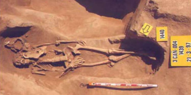 El tipo de entierro confirma que entre los fundadores de Valéncia había población peligna, una tribu del centro de Italia 1 El tipo de entierro confirma que entre los fundadores de Valéncia había población peligna, una tribu del centro de Italia