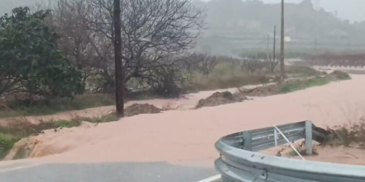 Guadassuar alcanza los 215 litros por metro cuadrado hoy 1 Guadassuar alcanza los 215 litros por metro cuadrado hoy