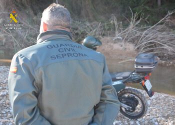 Investigado un cazador furtivo por abatir a un ejemplar de Macho Montés 14 Investigado un cazador furtivo por abatir a un ejemplar de Macho Montés