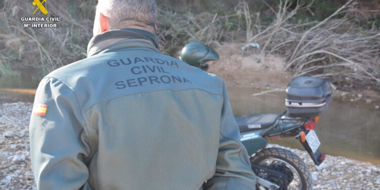 Investigado un cazador furtivo por abatir a un ejemplar de Macho Montés 1 Investigado un cazador furtivo por abatir a un ejemplar de Macho Montés