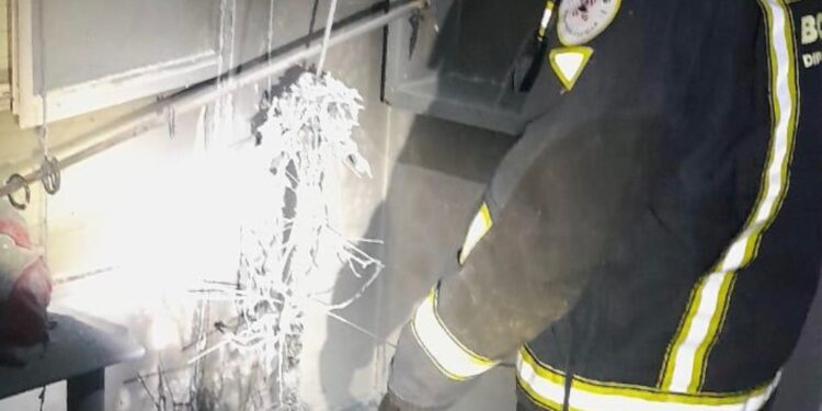 Un Árbol de Navidad Provoca un Conato de Incendio en una Vivienda de Bechí