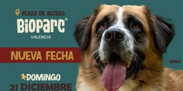 Aplazado el desfile de perros por previsión de lluvias al domingo 21 de diciembre