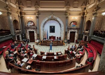 La Zona de Bajas Emisiones a debate nuevamente en el Pleno de Valencia 14 La Zona de Bajas Emisiones a debate nuevamente en el Pleno de Valencia