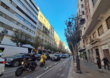 Catalá y la moda de dejar desnudos los ficus en Valéncia