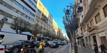 Catalá y la moda de dejar desnudos los ficus en Valéncia