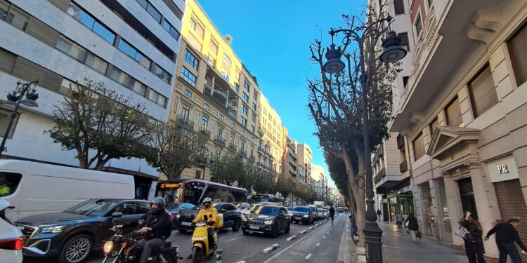 Catalá y la moda de dejar desnudos los ficus en Valéncia