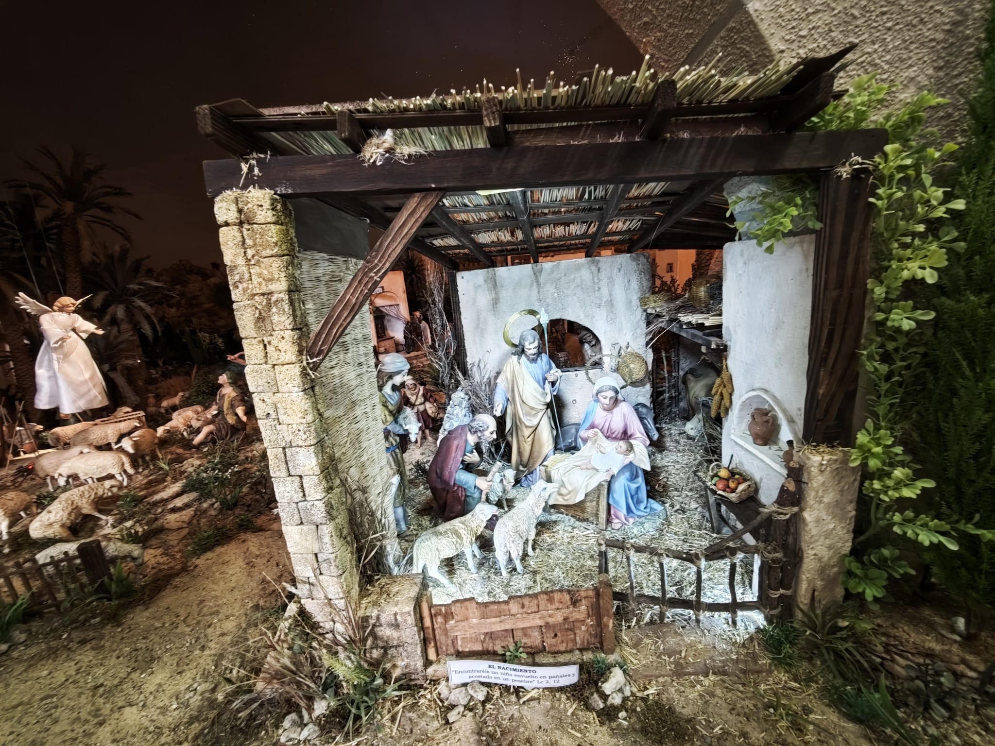 🌟 La Navidad Llega a Santa Mónica: Las Hermanitas Inauguran su Monumental Belén, Obra de la Tradición y la Devoción 5 WhatsApp Image 2025 12 09 at 19.17.38