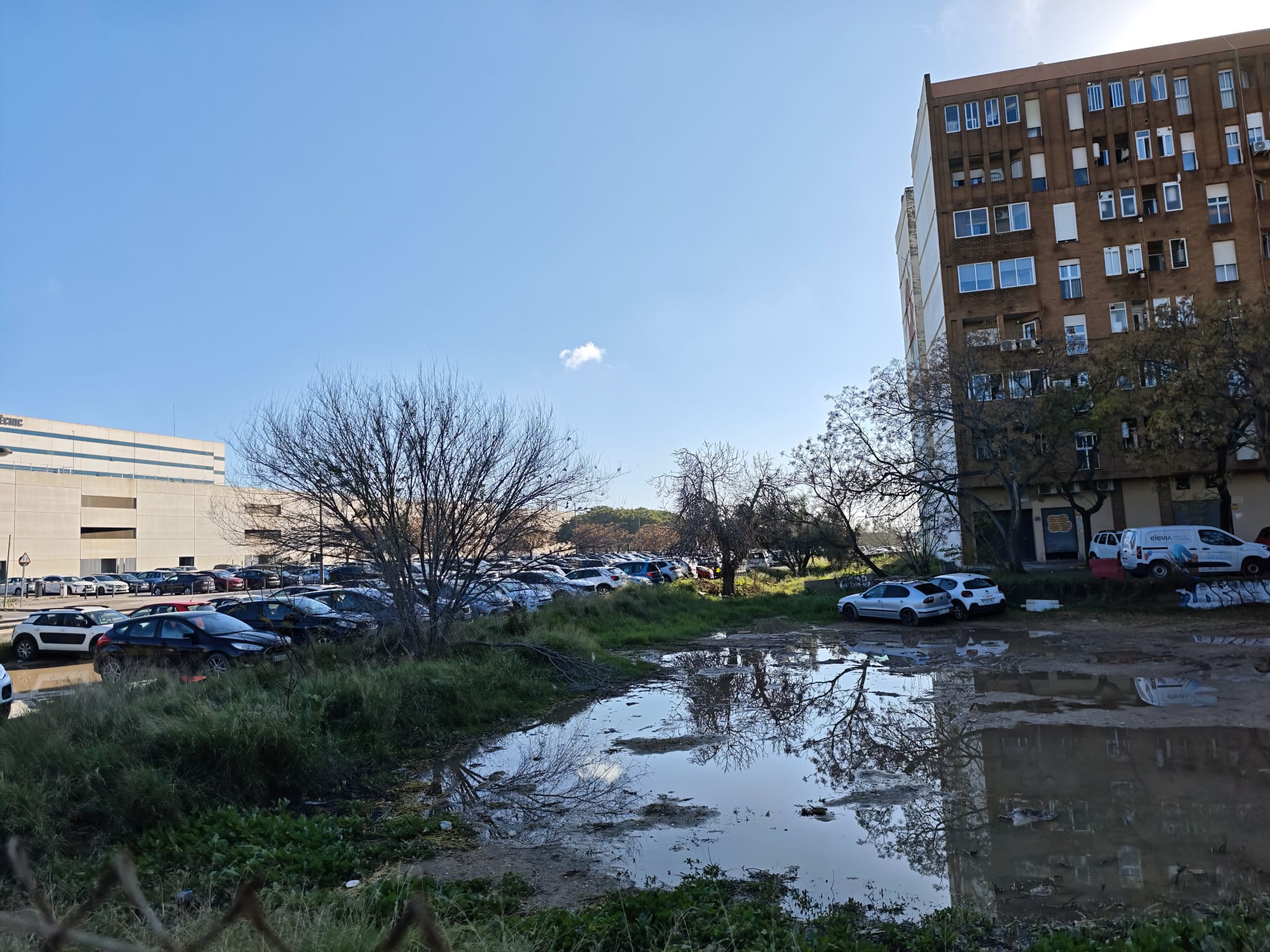 El entorno del mayor hospital de la Comunitat Valenciana asilvestrado y convertido en lodazales 3 WhatsApp Image 2025 12 18 at 16.26.423