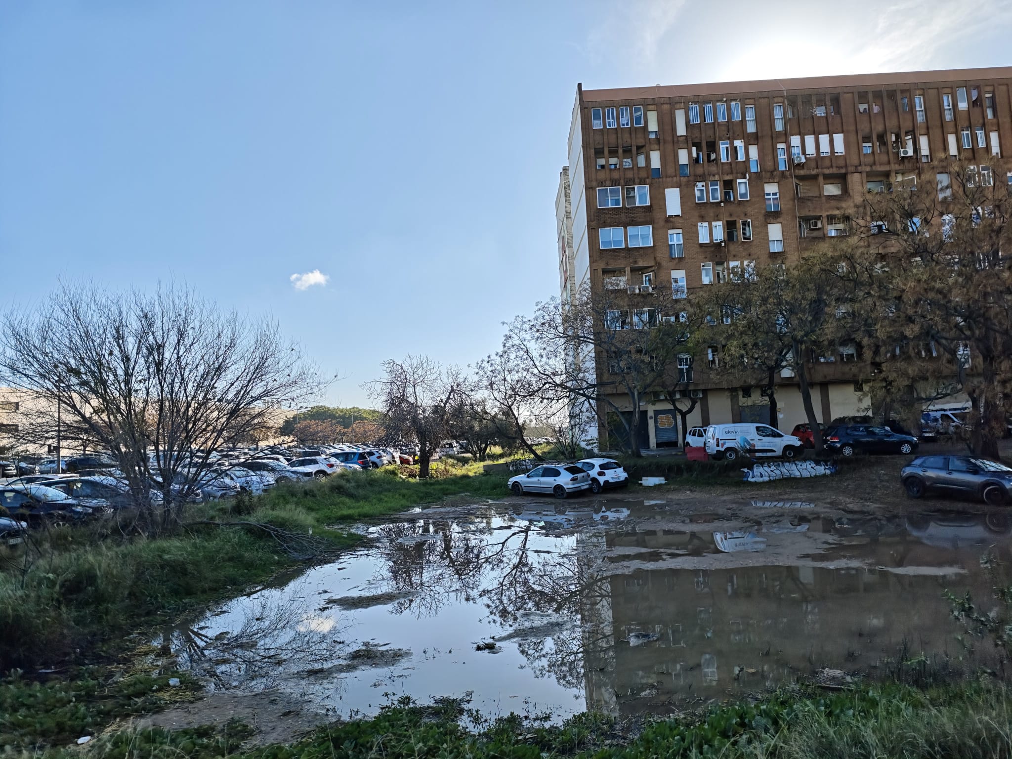 El entorno del mayor hospital de la Comunitat Valenciana asilvestrado y convertido en lodazales 4 WhatsApp Image 2025 12 18 at 16.26.424