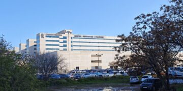 El entorno del mayor hospital de la Comunitat Valenciana asilvestrado y convertido en lodazales