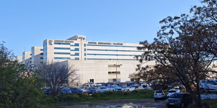 El entorno del mayor hospital de la Comunitat Valenciana asilvestrado y convertido en lodazales 1 El entorno del mayor hospital de la Comunitat Valenciana asilvestrado y convertido en lodazales