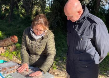 Valéncia encarrila la recta final de su renaturalización bajo el aval de la Fundación Biodiversidad