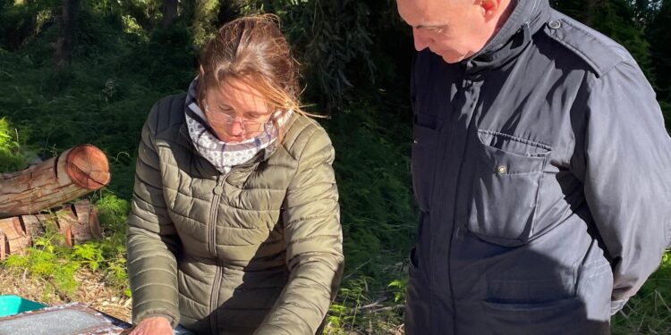 Valéncia encarrila la recta final de su renaturalización bajo el aval de la Fundación Biodiversidad 1 Valéncia encarrila la recta final de su renaturalización bajo el aval de la Fundación Biodiversidad