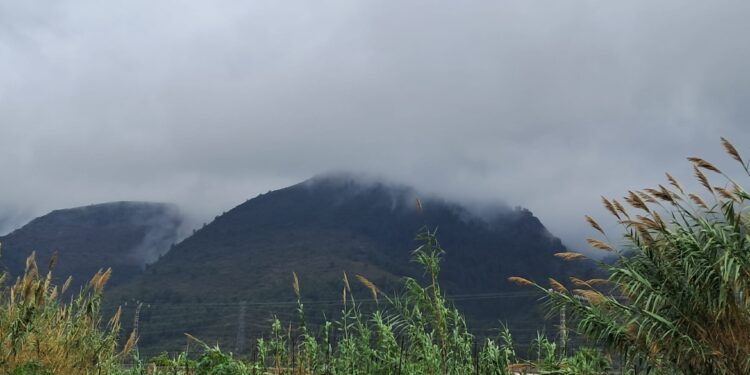 Las lluvias se trasladan a La Marina y la parte sur de La Safor