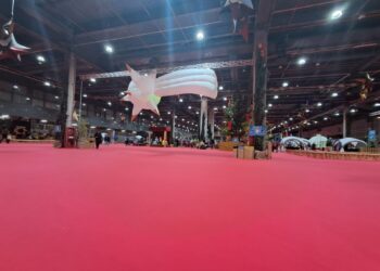 Hoy se ha inaugurado la 48 edición de ExpoJove en Valencia, con la moqueta como protagonista