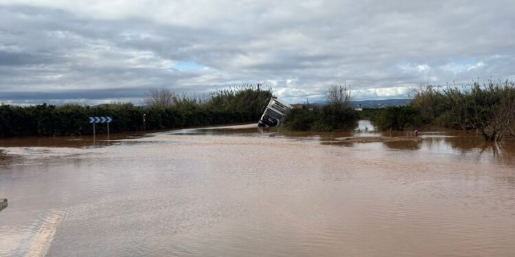 Esta noche un camión encalla en una cuneta en Carcaixent en la CV-543 1 Esta noche un camión encalla en una cuneta en Carcaixent en la CV-543
