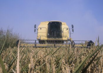 AVA-ASAJA denuncia que el resultado del trílogo sobre el GSP "sentencia a muerte" al sector arrocero europeo