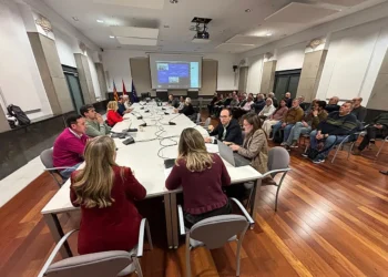 El Consejo Escolar extrodinario de Valencia traslada el problema del 16 de marzo a la Generalitat Valenciana