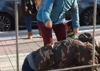 El Circ de Nadal denuncia el acoso a su público por una veintena de animalistas radicales