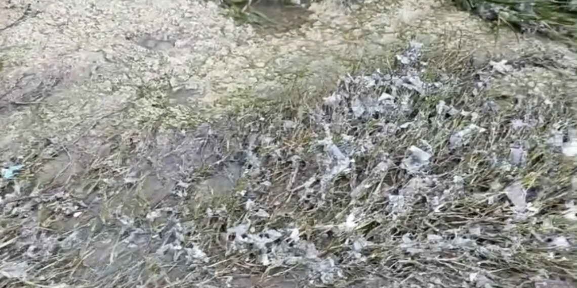 Alerta roja en l’Horta Sur: El goteo incesante de vertidos en Alcàsser que amenaza l’Albufera